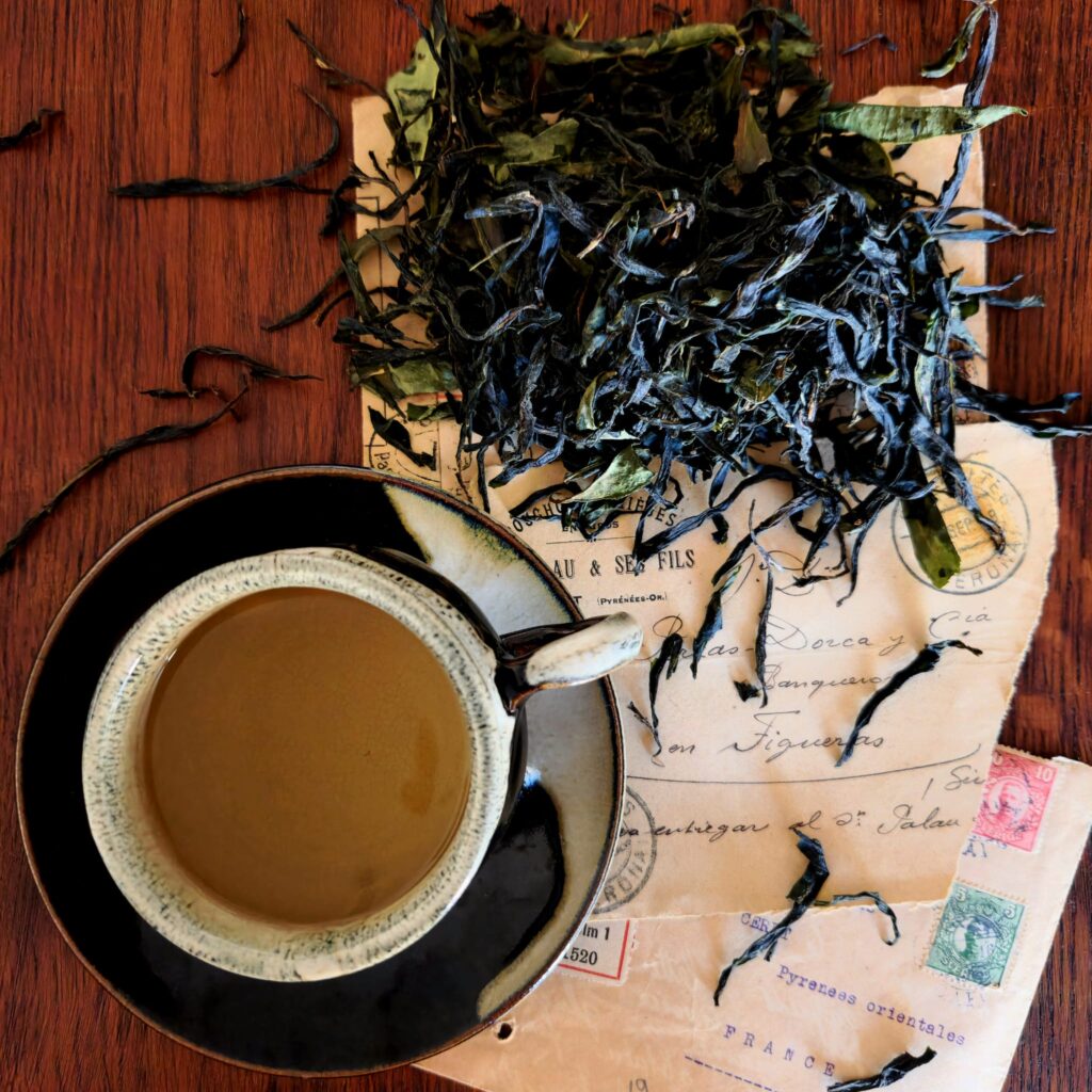 Tramontane du Sud avec tasse