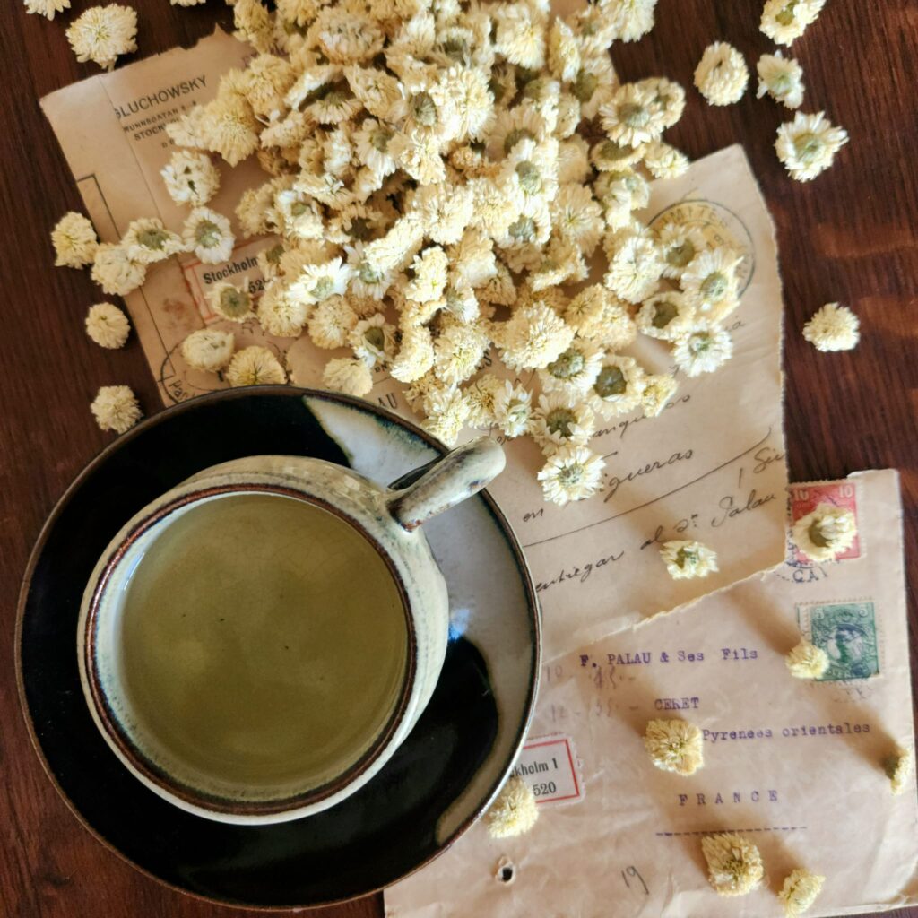 Camomille romaine avec tasse