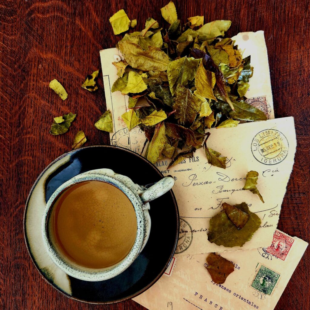 Aube du Bancha avec tasse