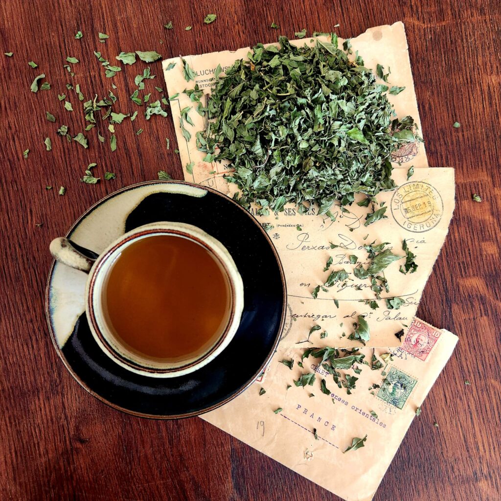 Menthe poivrée