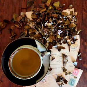 Essence du Bancha avec tasse