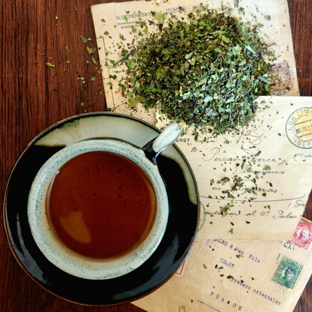 Cannelle en Velours avec tasse