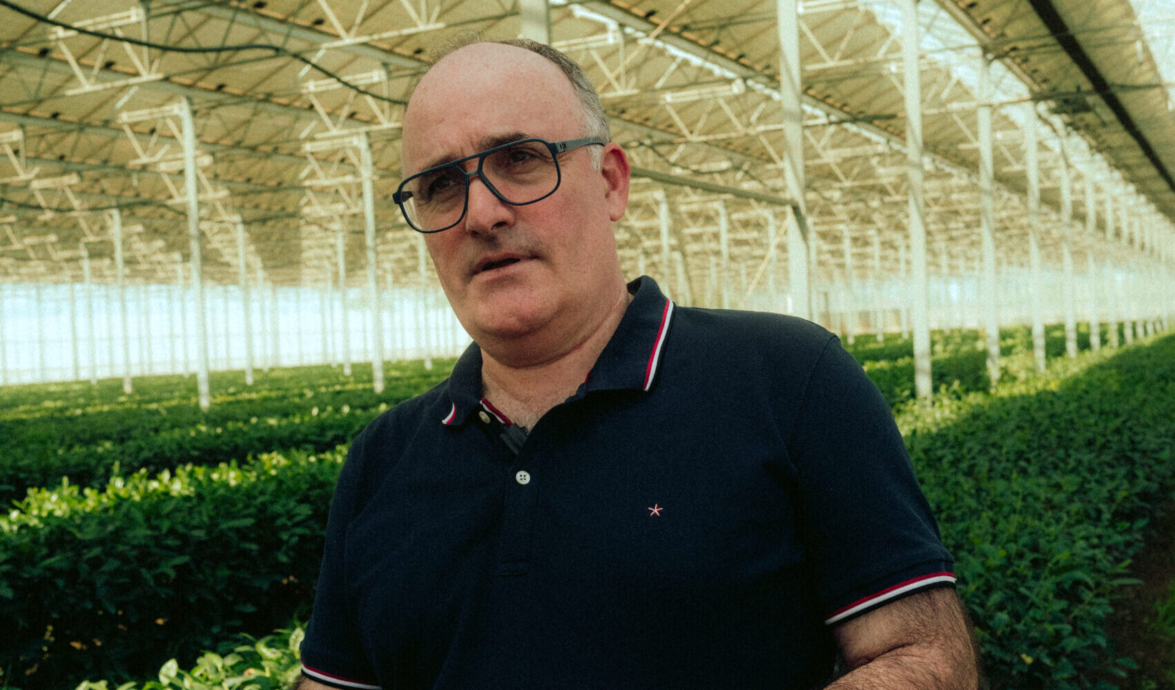 Jean-Marc Sanchez, Plantations d'Acapella