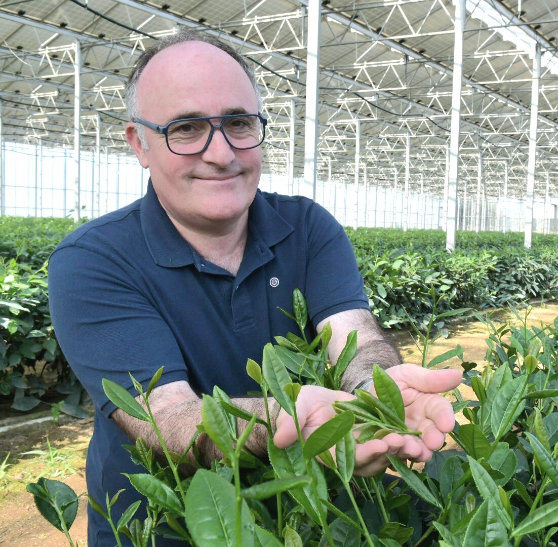 Jean-Marc Sanchez, fondateur des Plantations d'Acapella, Roussillon