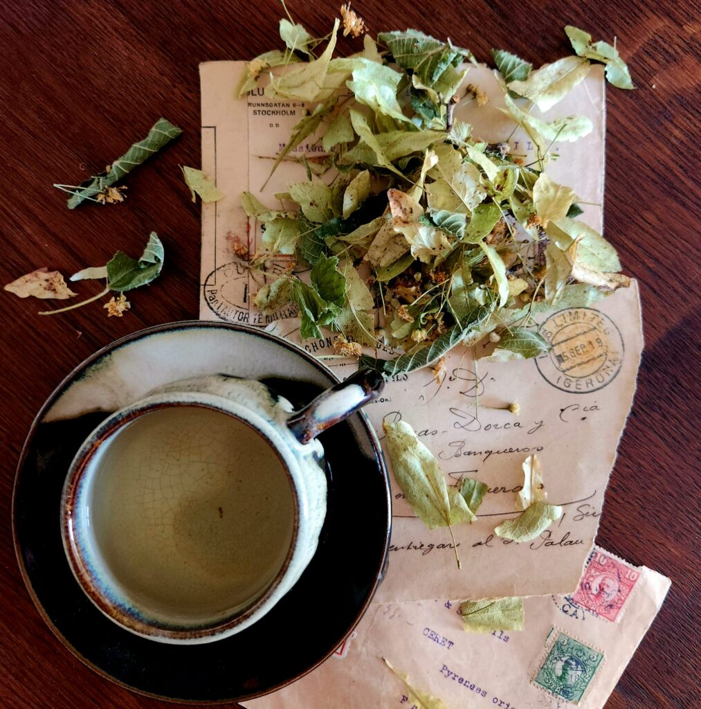 Tillleul avec tasse