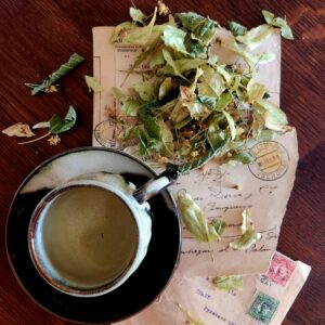 Tillleul avec tasse