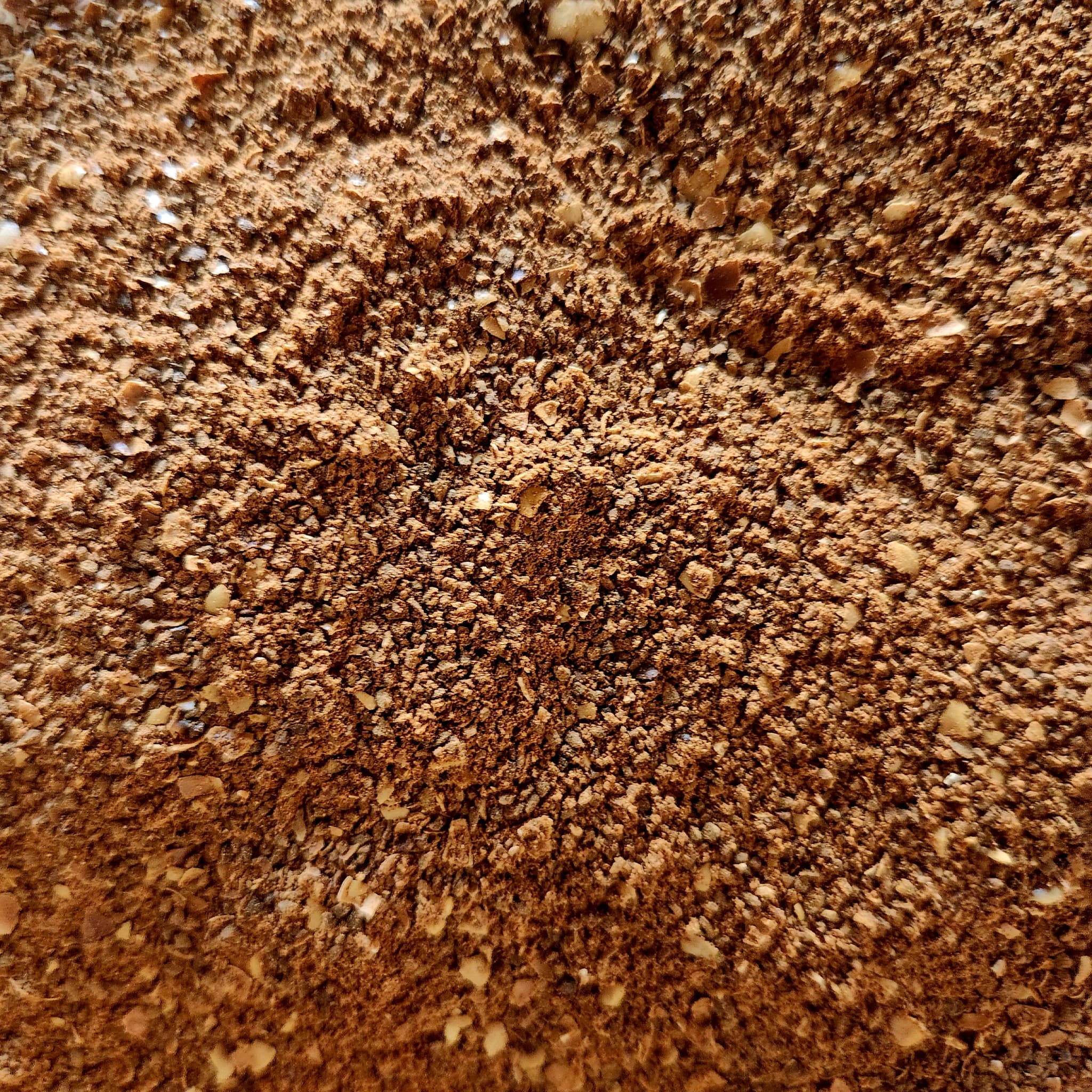 Ivoire des Champs, gros plan