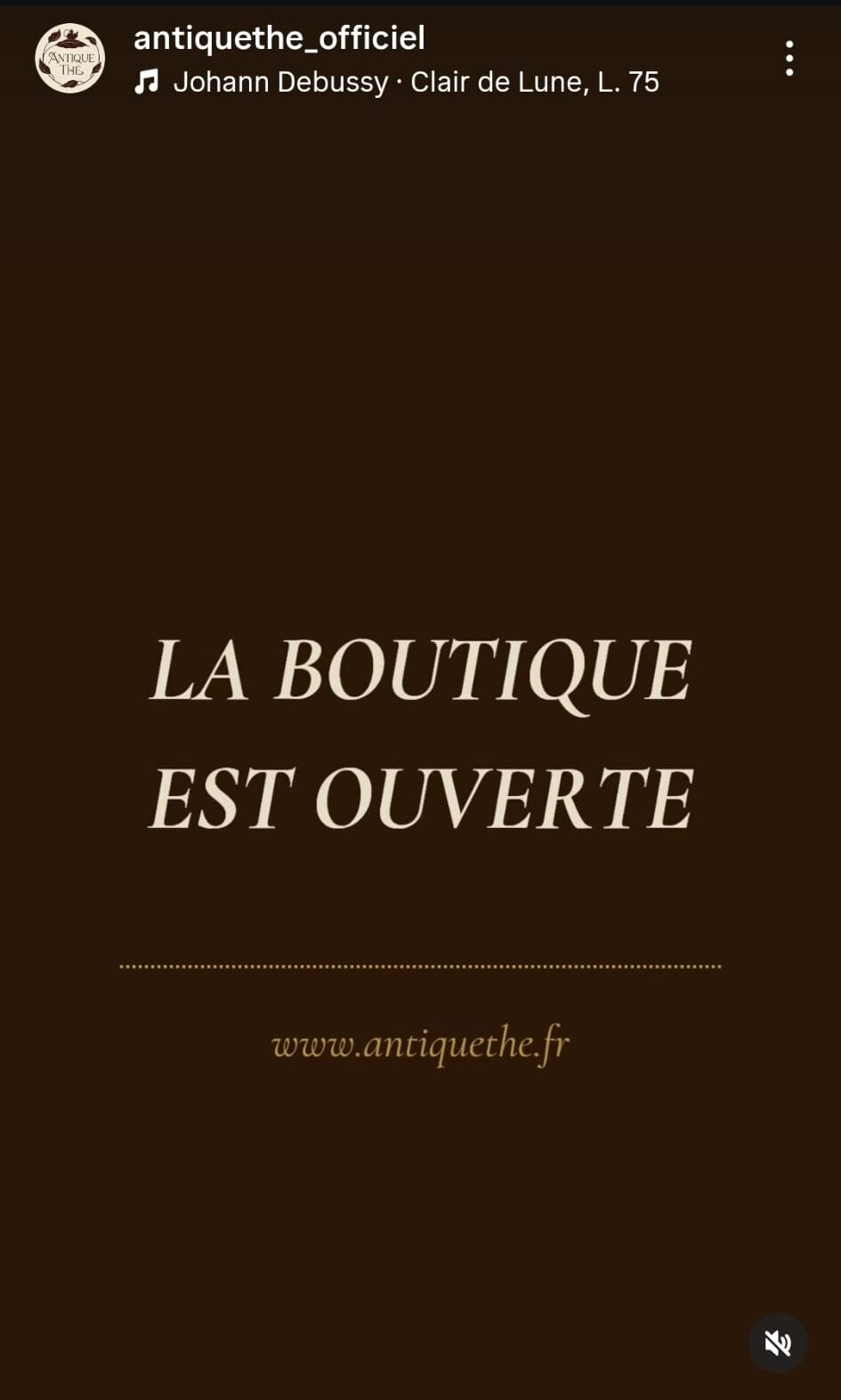 Réel Instagram ouverture Antique Thé
