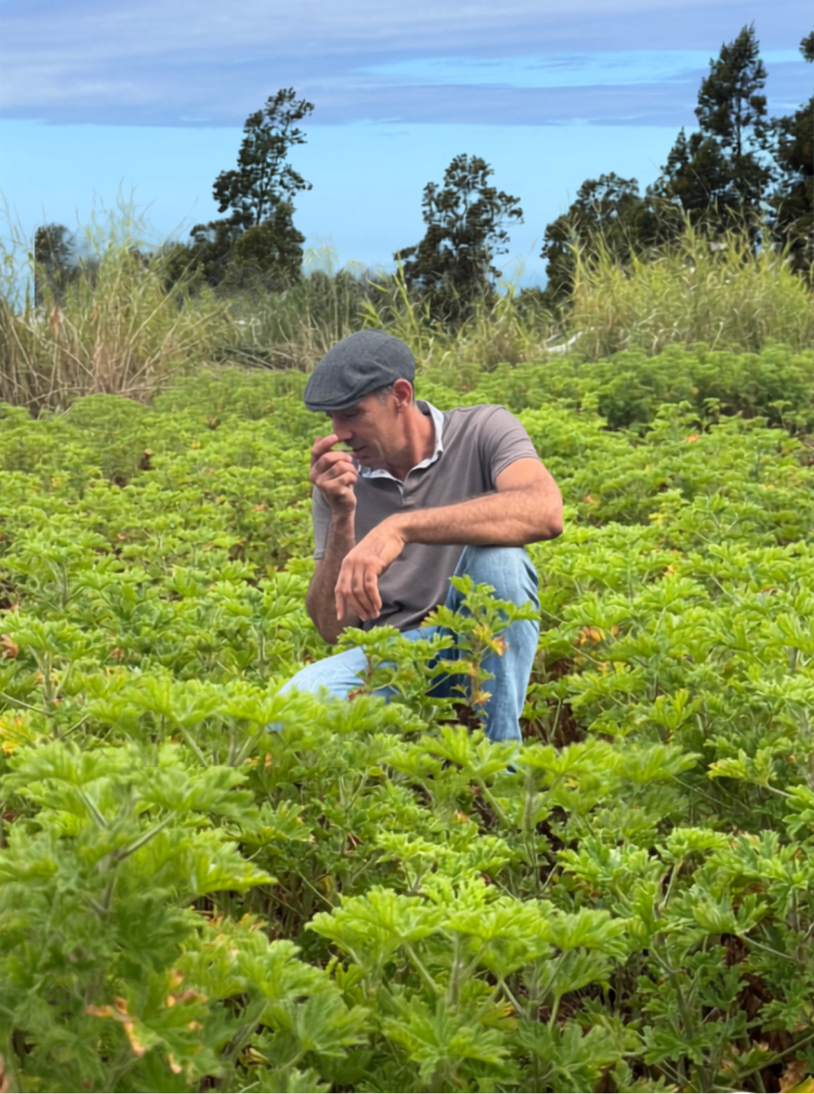 Johny Guichard, fondateur du Labyrinthe En-Champ-Thé, Saint-Joseph, La Réunion